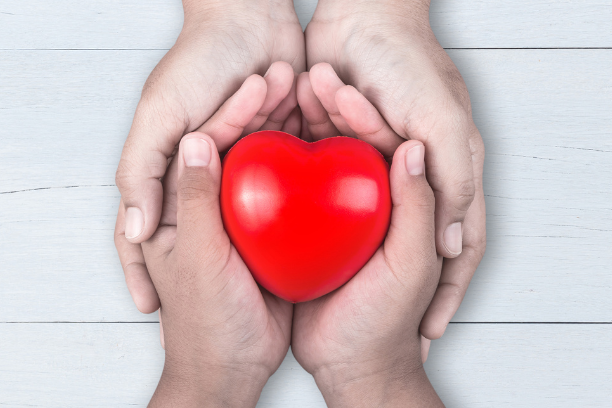Adult, child hands holding a red wooden heart